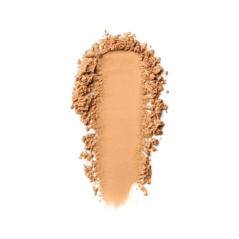 Bobbi Brown Sheer Finish Loose Powder image number 13